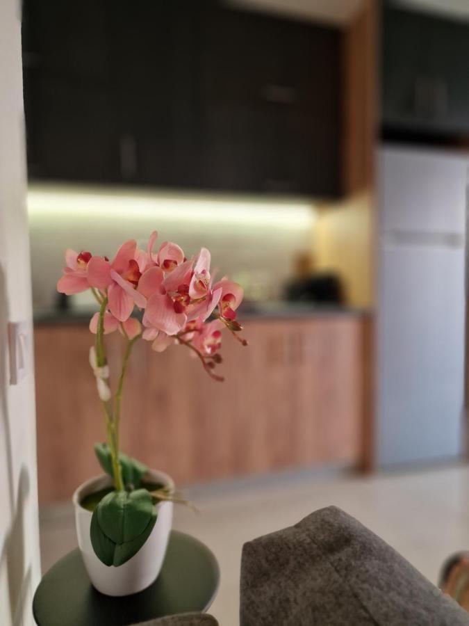 S N G/ Best View Apartment Kissamos Exterior photo